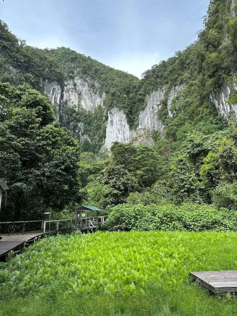 Cave Entrance at Mulu National Park